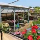 Business 4 image MULBERRY & THYME BATH Restaurants in Bath Av