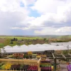 Business 9 image MULBERRY & THYME BATH Restaurants in Bath Av