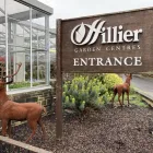 Business 10 image MULBERRY & THYME BATH Restaurants in Bath Av