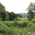 Business 1 image MULBERRY & THYME COFFEE SHOP DORKING Restaurants in Dorking Su