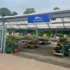 Business 2 image MULBERRY & THYME COFFEE SHOP DORKING Restaurants in Dorking Su