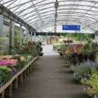 Business 3 image MULBERRY & THYME COFFEE SHOP DORKING Restaurants in Dorking Su