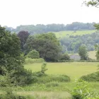 Business 4 image MULBERRY & THYME COFFEE SHOP DORKING Restaurants in Dorking Su