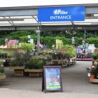 Business 10 image MULBERRY & THYME COFFEE SHOP DORKING Restaurants in Dorking Su