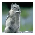 Business 25 image MUSIC LESSONS IN MILFORD-ON-SEA Violin Lessons in Lymington Ha