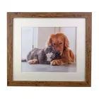 Business 1 image MYROOMART Picture Framing Services in Swadlincote De