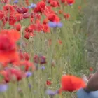 Business 6 image NATURAL THERAPIES BY EILEEN STRONG Spa Services in Belper De