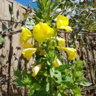 Business 7 image NATURAL THERAPIES BY EILEEN STRONG Spa Services in Belper De