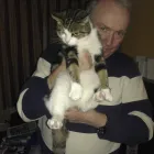 Business 5 image NATWEST BANK PLC Banks & Financial Institutions in West Bromwich We