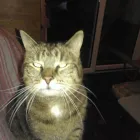 Business 6 image NATWEST BANK PLC Banks & Financial Institutions in West Bromwich We