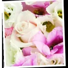 Business 1 image NATWEST BANK PLC Banks & Financial Institutions in Wellingborough No