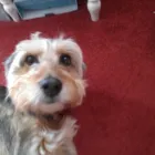 Business 1 image NATWEST BANK PLC Banks & Financial Institutions in West Bromwich We