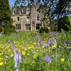 Business 2 image NATWEST BANK PLC Banks & Financial Institutions in Liverpool Me