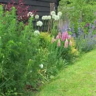 Business 3 image NORTH EAST MANAGEMENT SYSTEMS LTD Health & Safety Consultants in Aberdeen Ab