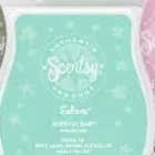 Business 2 image NORTON ENVIRONMENTAL SERVICES Air Conditioning Services in Wallingford Ox