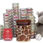 Business 15 image NORTON ENVIRONMENTAL SERVICES Air Conditioning Services in Wallingford Ox