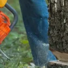 Business 3 image NOTTINGHAM TREE SURGEONS Construction & Contractors in Nottingham No