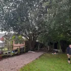 Business 7 image OAKWOOD TREE AND LANDSCAPING Tree Services in Derby De