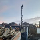 Business 12 image OAKWOOD TREE AND LANDSCAPING Tree Services in Derby De