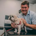 Business 10 image OAKWOOD VETERINARY REFERRALS Veterinary Services in Northwich Ch