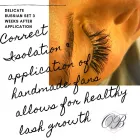 Business 32 image OCTANGLE BEAUTY LTD Personal Care Products in Edinburgh Edh