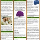 Business 4 image OMEGA WILLS LIMITED Will Writing in Whyteleafe Su