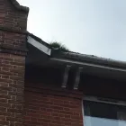 Business 95 image ON THE ISLAND CLEANING & MAINTENANCE Window Cleaners in Ryde Is