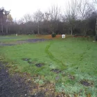 Business 1 image ORAL CERAMICS Dental Technicians in Droitwich Wo