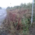 Business 8 image ORAL CERAMICS Dental Technicians in Droitwich Wo