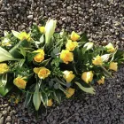 Business 9 image P. F. CLEANING SERVICES Window Cleaners in Folkestone Ke