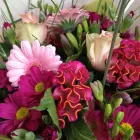 Business 13 image P. F. CLEANING SERVICES Window Cleaners in Folkestone Ke