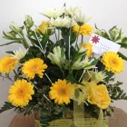 Business 1 image P. F. CLEANING SERVICES Window Cleaners in Folkestone Ke