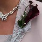 Business 7 image P. F. CLEANING SERVICES Window Cleaners in Folkestone Ke