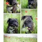 Business 7 image PAGE ELECTRICAL CONTRACTORS Electricians & Electrical Contractors in Westbury Wi