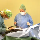 Business 7 image PARKSIDE VETERINARY GROUP Vets in Dundee An