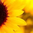 Business 2 image PARMITERS SPORTS GROUND Sports Grounds & Stadia in London Gr