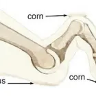 Business 1 image PARTS CENTER Central Heating Services in Exeter De