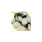 Business 3 image PASSION FLOWERS DONCASTER Florists in Doncaster So