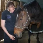 Business 1 image PAUL BROAD FITNESS SOLUTIONS LTD Fitness Equipment in Stoke-On-Trent St