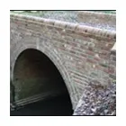 Business 1 image PDSA SHOP Charity Shops in Solihull We