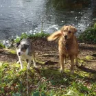 Business 2 image PEGGY DAVIES CERAMICS China & Glassware in Stoke-On-Trent St