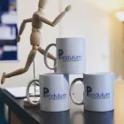 Business 8 image PENDULUM PHYSIOTHERAPY Sports Medicine in Lurgan Co