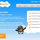 Business 1 image PENGUIN MEDIA LTD. Web Hosting & Domain Name Registration in Leicester Le