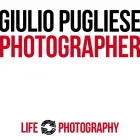 Business 1 image PERFECT PIANO PLAYING ( JO NIBLETT ) Music Teachers in Bristol Av