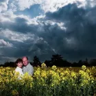 Business 6 image PETER FINDLAY CTA Accountants in Sidmouth De