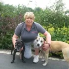 Business 3 image PETSTAY EAST LANCS & BURY Pets & Animals in Rossendale La