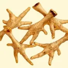 Business 2 image PETSUPPLYUK.COM Pets & Animals in Newport Nwp