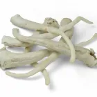 Business 3 image PETSUPPLYUK.COM Pets & Animals in Newport Nwp