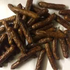 Business 6 image PETSUPPLYUK.COM Pets & Animals in Newport Nwp