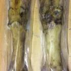 Business 21 image PETSUPPLYUK.COM Pets & Animals in Newport Nwp